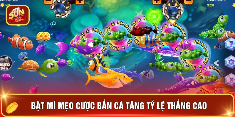 Bắn Cá Sunwin - Hành Trình Kiếm Thưởng Hay Nhất Năm 2026 3 Bật mí mẹo cược bắn cá tăng tỷ lệ thắng cao